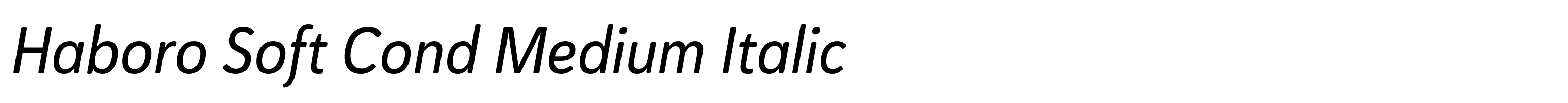Haboro Soft Cond Medium Italic